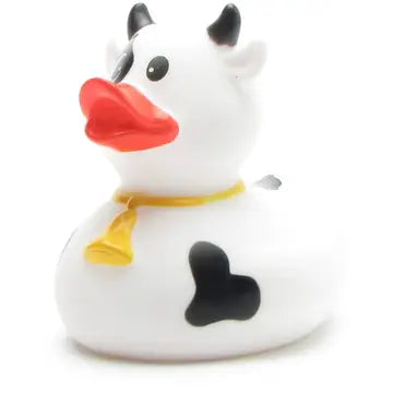 black and white cow duck