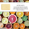 agrumes (citrus fruit) soap bar